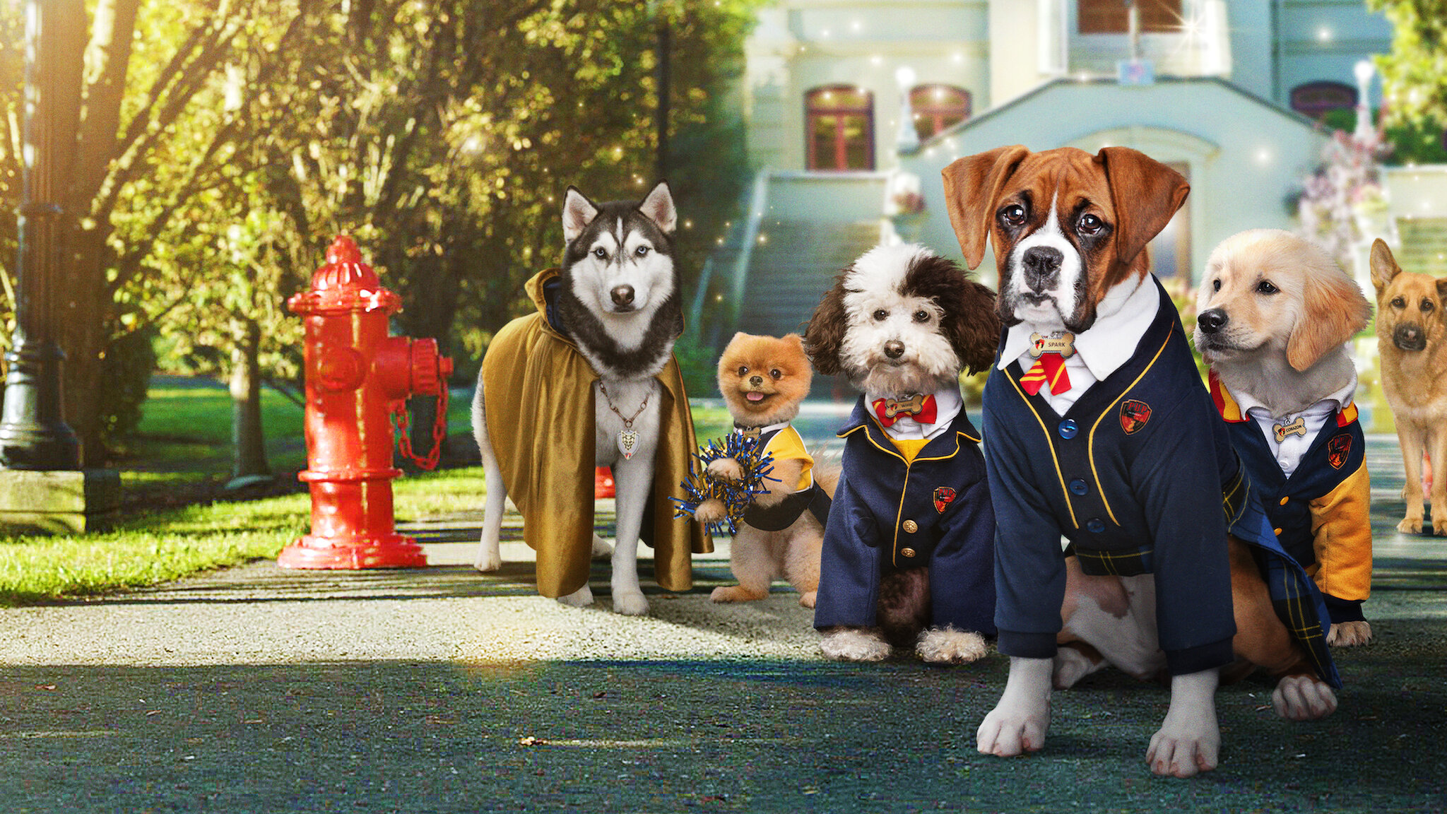 Watch Pup Academy Netflix