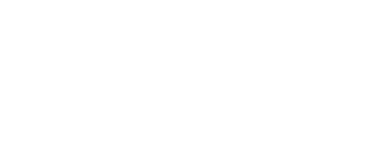 Watch Animal Kingdom Netflix